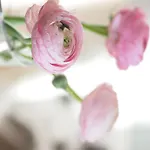 Hébergement de vacances Exklusives Mit Terrasse Und Garten By Interhome Simmerath