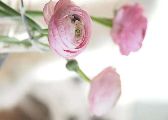 Сasa de vacaciones Exklusives Mit Terrasse Und Garten By Interhome Simmerath