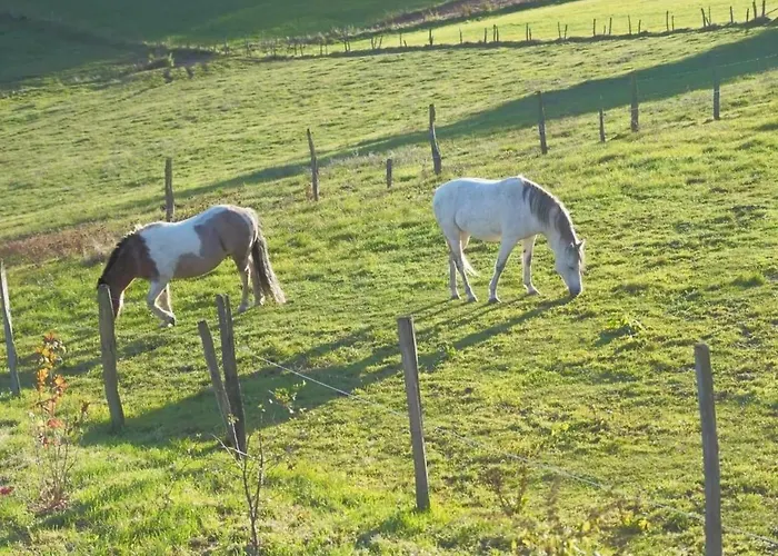 Exklusives Mit Terrasse Und Garten By Interhome Сasa de vacaciones