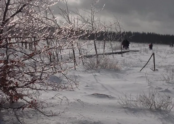 Сasa de vacaciones Exklusives Mit Terrasse Und Garten By Interhome Simmerath