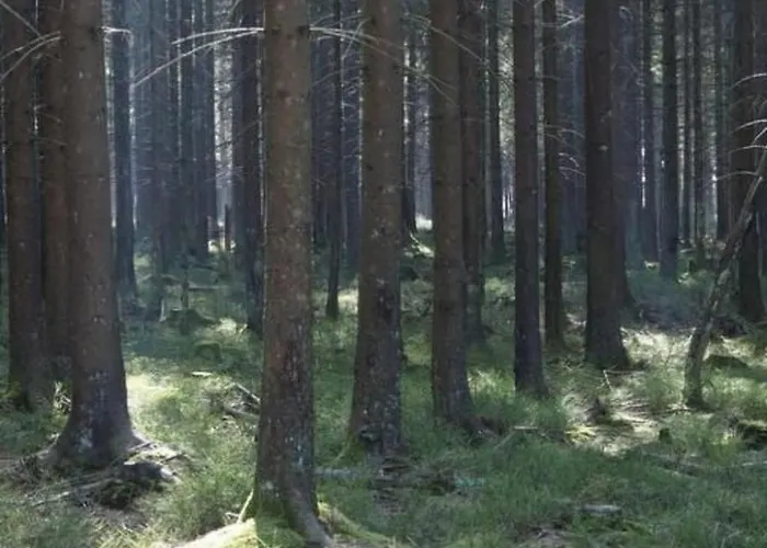 Exklusives Mit Terrasse Und Garten By Interhome * Simmerath