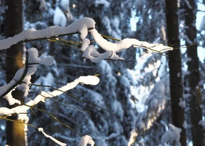 Exklusives Mit Terrasse Und Garten By Interhome Сasa de vacaciones *