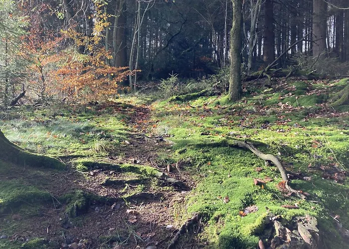 Exklusives Mit Terrasse Und Garten By Interhome